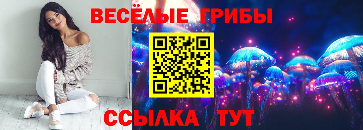 Переславль-Залесский  Галлюциногенные грибы мухоморы  Вход с VPN 